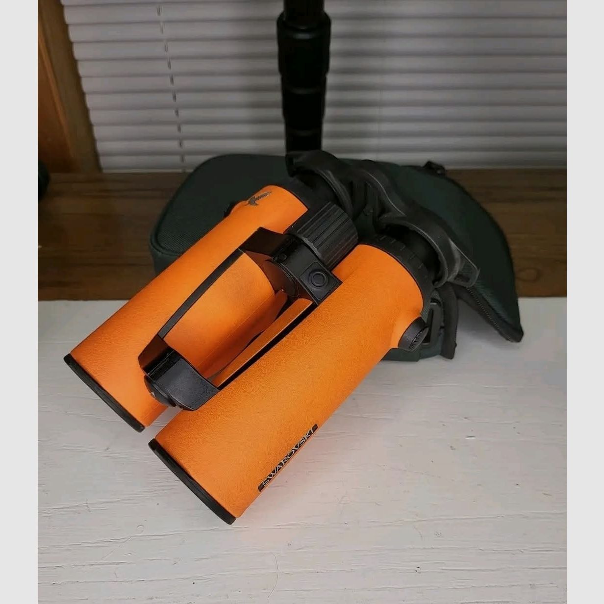 Swarovski EL Range 10x42