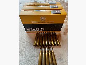RWS 8x57 JS Evolution 13g / 200gr 75 shots