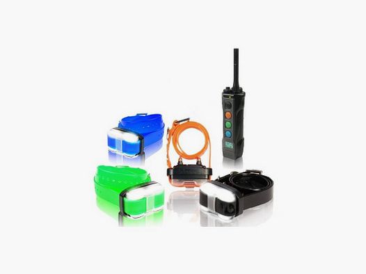 Collare Educativo Dogtra 4504 EDGE