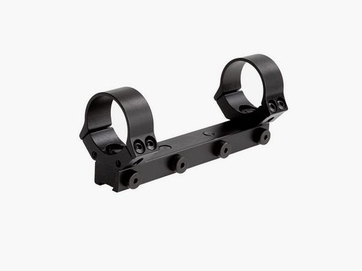 Prism mount + rings 30mm