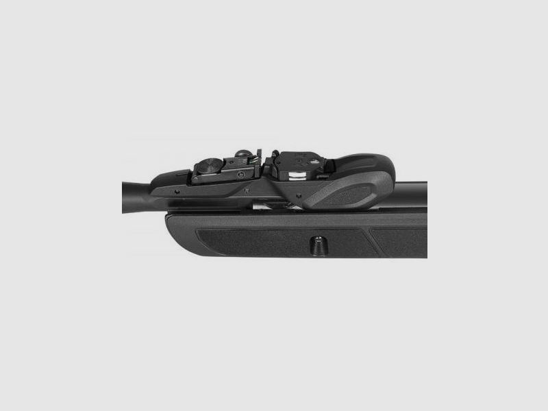 Gamo Roadster IGT 10X Gen2, Bild 1 von 3