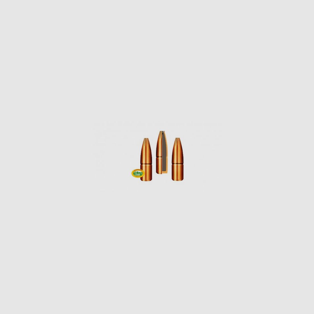 GECO Balles PLUS cal. 9,3 mm 255 gr. 50 pcs .2318566