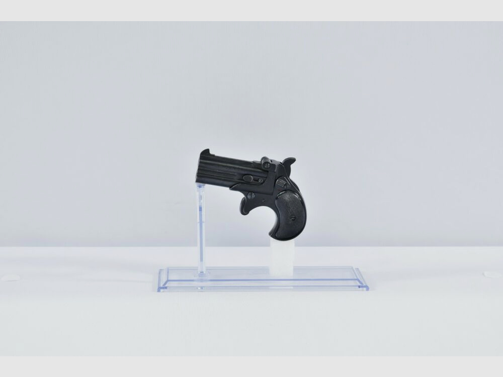 Derringer RG17