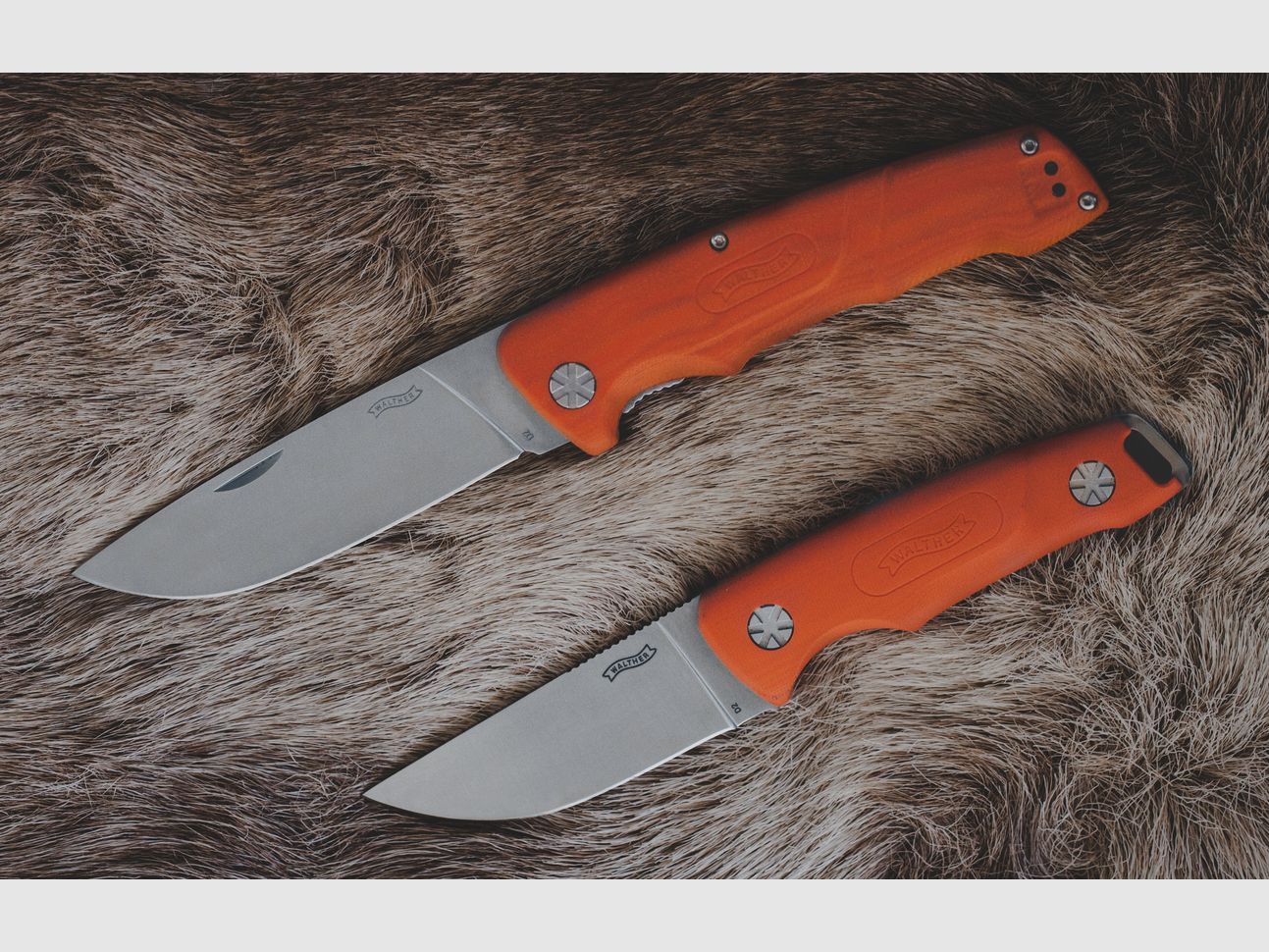 Couteau Walther HBF 1 Vollerl