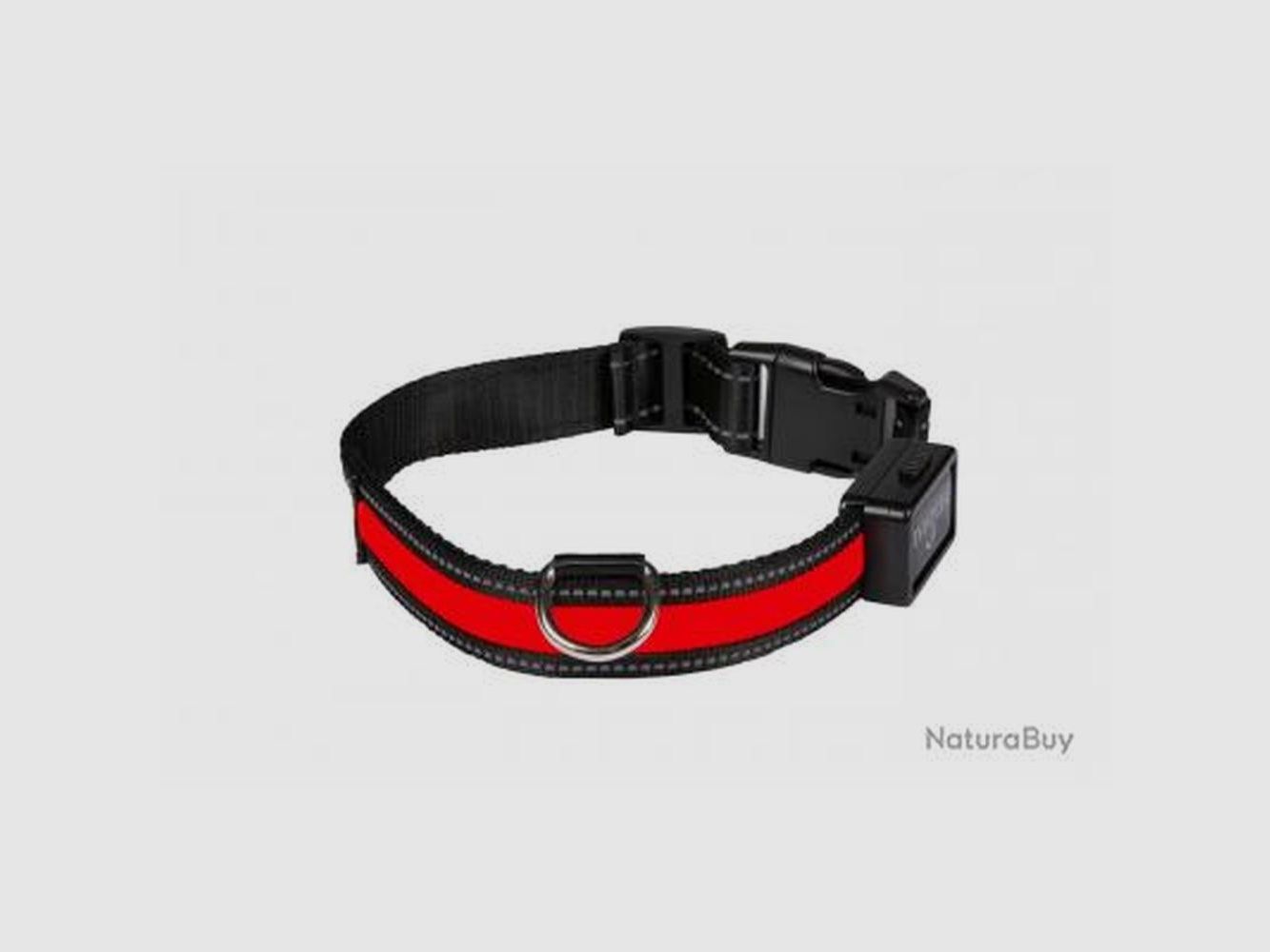 Collare Luminoso Ricaricabile Eyenimal USB Rosso - Sicurezza Notturna - Comfort Regolabile, immagine 2 di 4