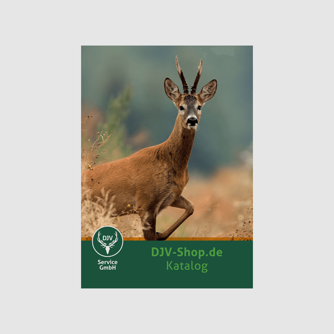 Catálogo de servicios DJV