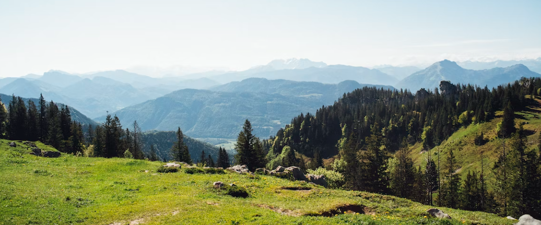 Jagdzeiten Bayern