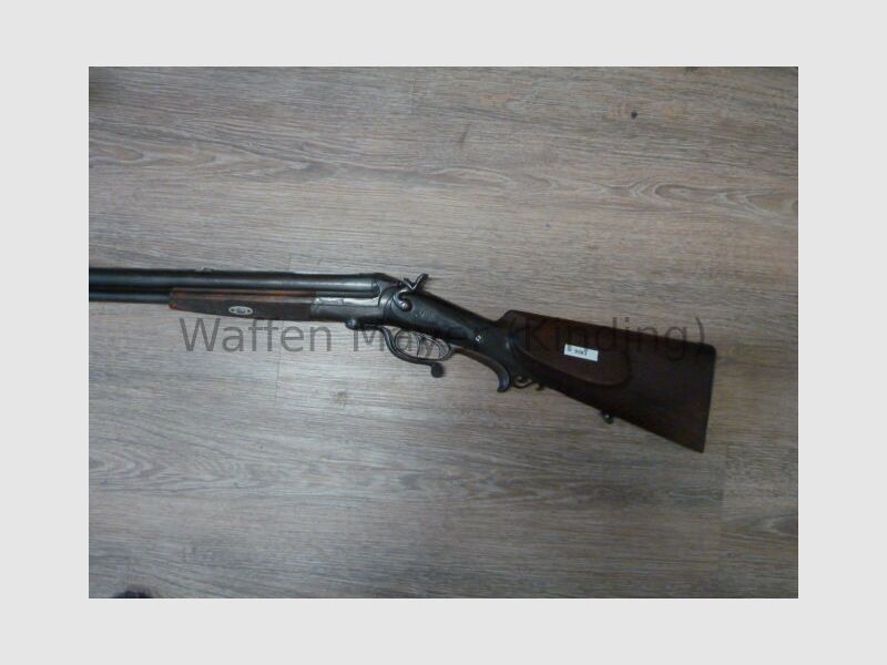 escopeta de perro desconocida