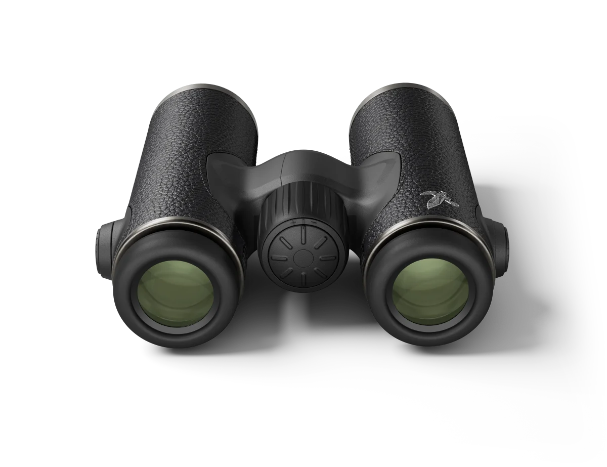 Swarovski Fernglas CL Companion Habicht 8×30, Bild 3 von 4
