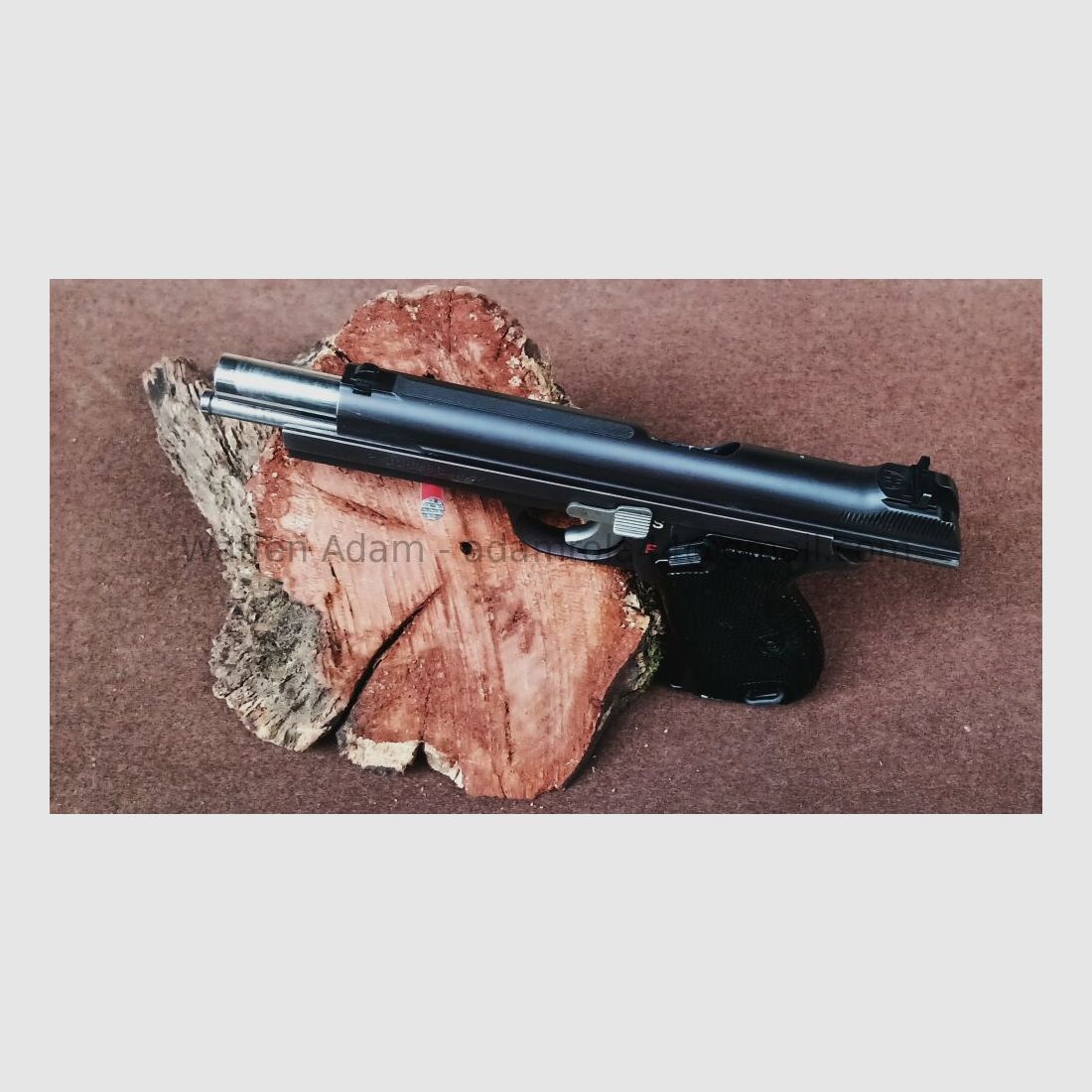 Swiss Industrial Company SIG 210