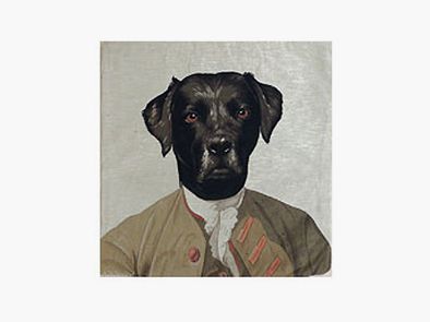 Lovergreen cushion motif cushion dressed dog No. 4