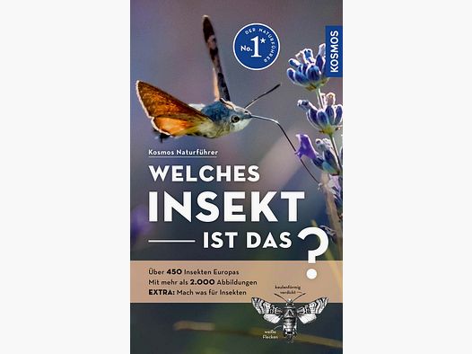 Kosmos Welches Insekt ist das? Bellmann
