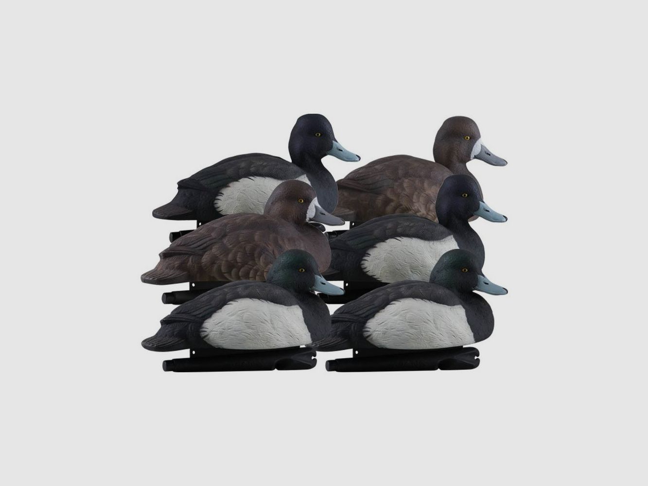 AvianX Eendvormen, afbeelding 1 van 2