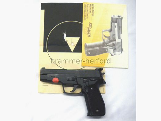 Sig Sauer (1) P226