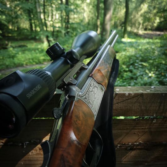 Bergstutzen BS97 von Blaser, für mich eine der besten Waffen für den Ansitz