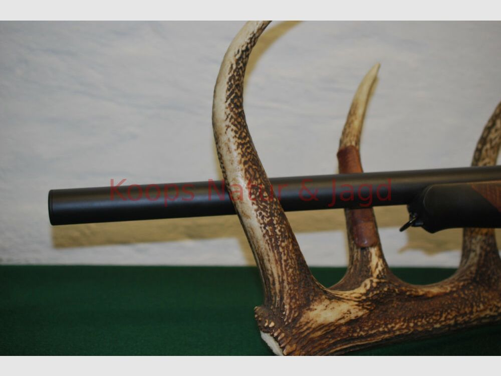 Sauer & Sohn	 404 Silence TI