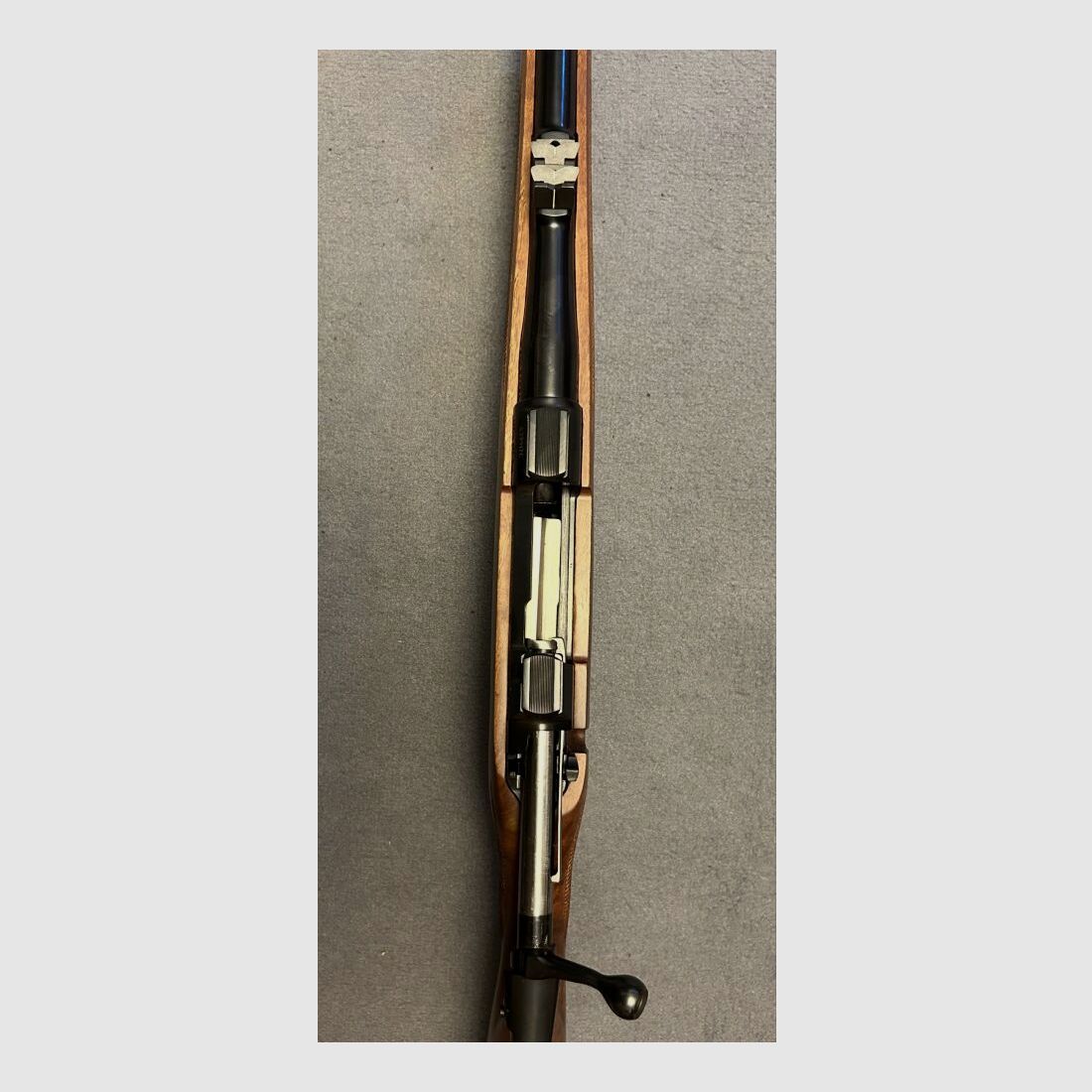 CZ 550 Magnum