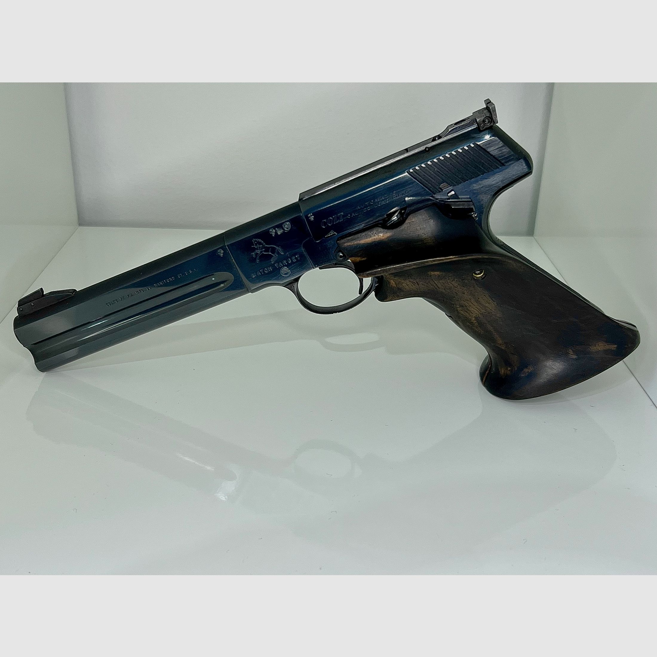 Colt Woodsman Match Target