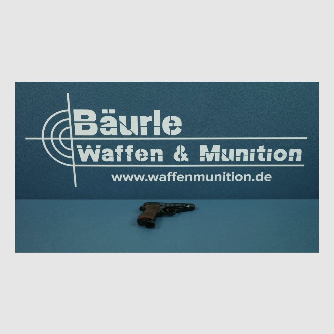 Walther PP .22lr
