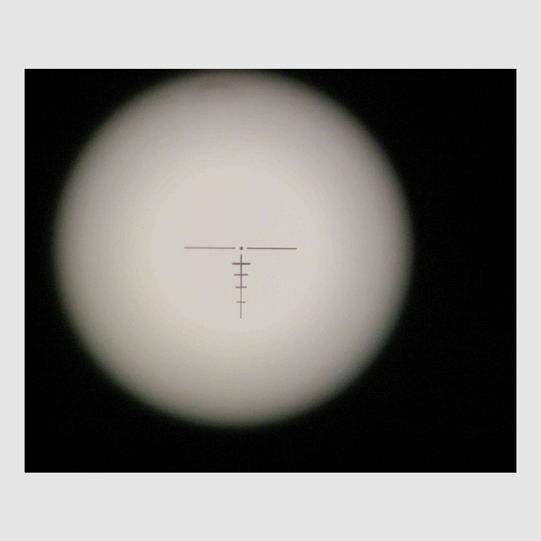 Merkel SR1 Jacht met Steiner M536