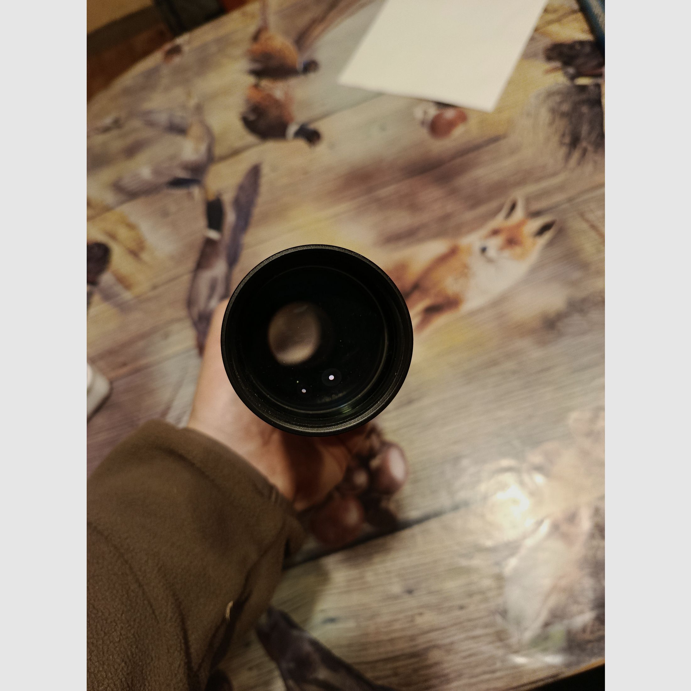 Steiner Nighthunter 2-10x50