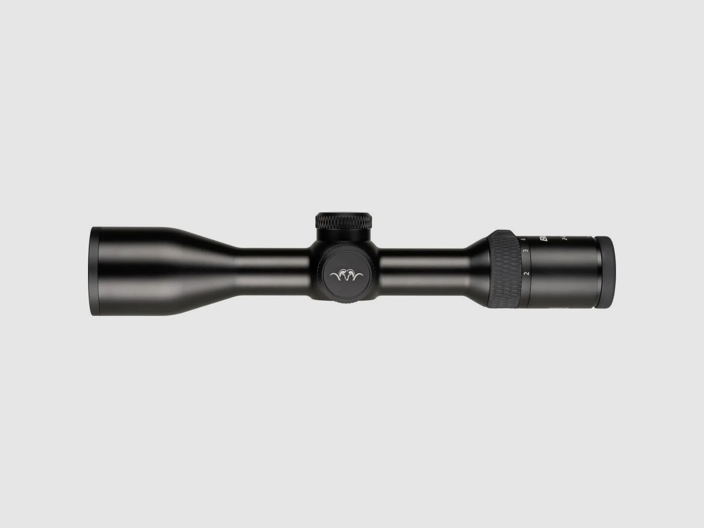 Blaser B2 mit Schiene 2-12x50IC