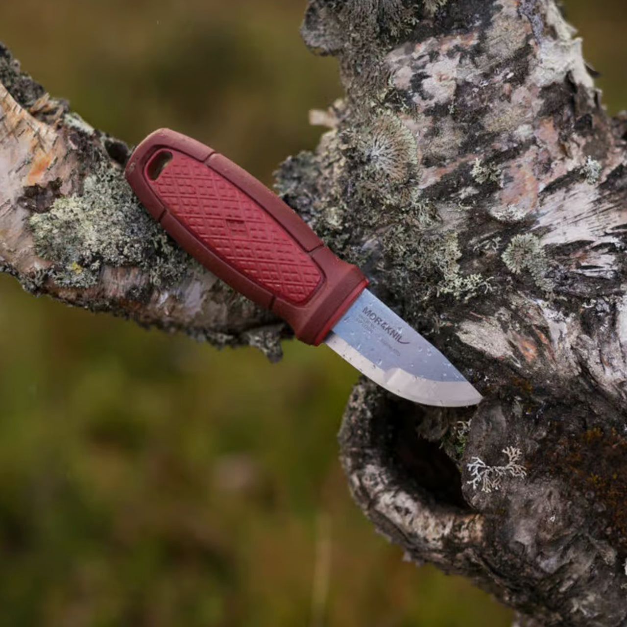 Kompaktmesser Morakniv Eldris mit Gürtelöse (S) aus Edelstahl 12C27, Bild 17 von 20