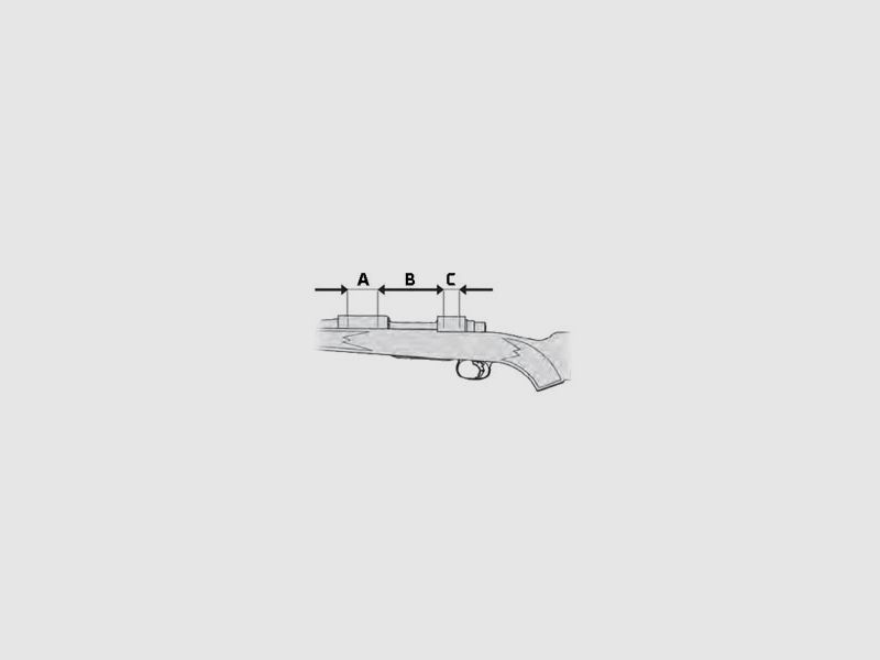 Rail de montage Recknagel pour Steyr-Mannlicher M, BH9.5 Picatinny avec rainures transversales, aluminium, noir