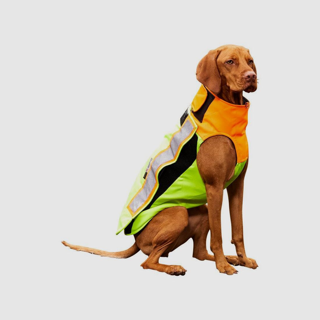 Hunde-Schutzweste