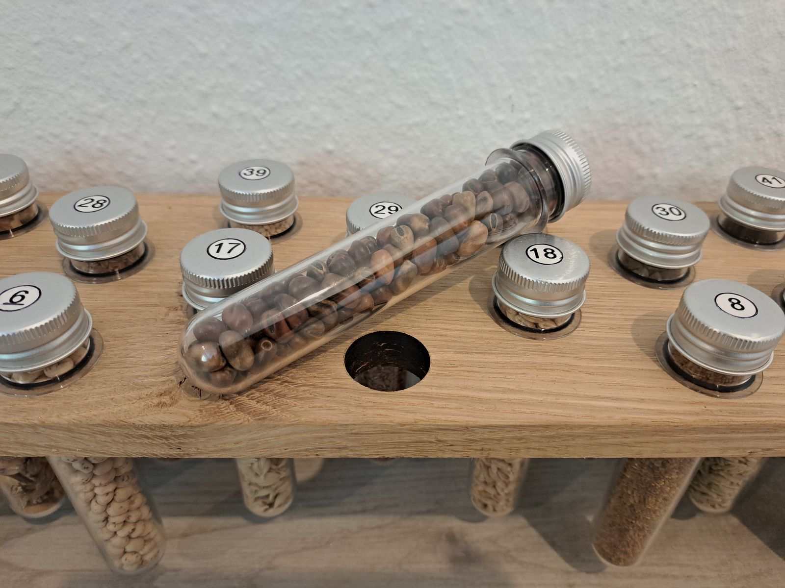 Saatgut Sammlung + Beschreibungsordner + Word-Datei + Eichen Regal  für Lehrzwecke