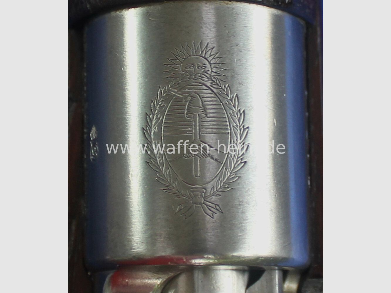 DWM Berlino 1909 Argentino
