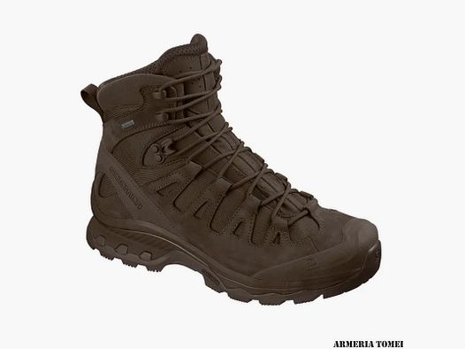 SALOMON – HERREN/DAMEN – QUEST 4D GTX FORCES 2 EN Erdbraun / Erdbraun / Erdbraun