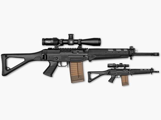 <SIG SAUER Swiss Arms SG SAPR 751>