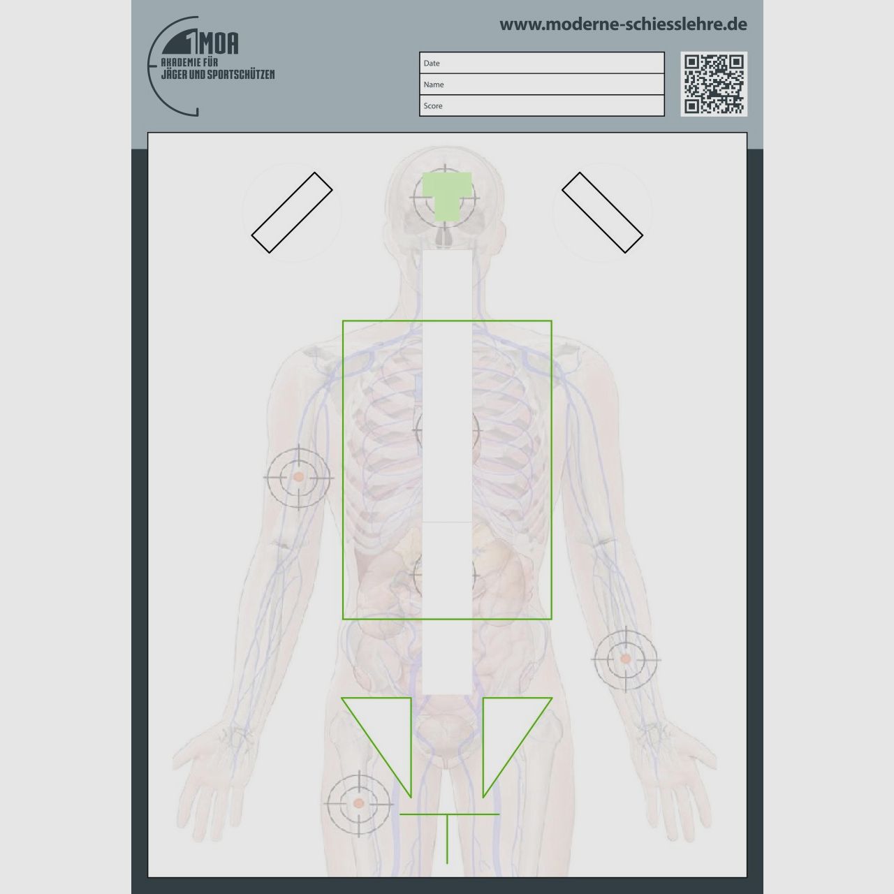 1MOA - Anatomy torso target DIN A1 realistic handgun training for authorities...