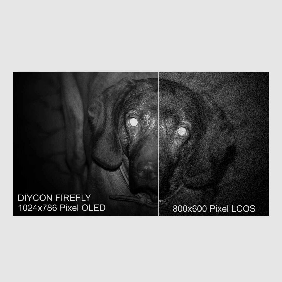 DIYCON dispositivo di visione notturna dual-use DNVC-2 Firefly