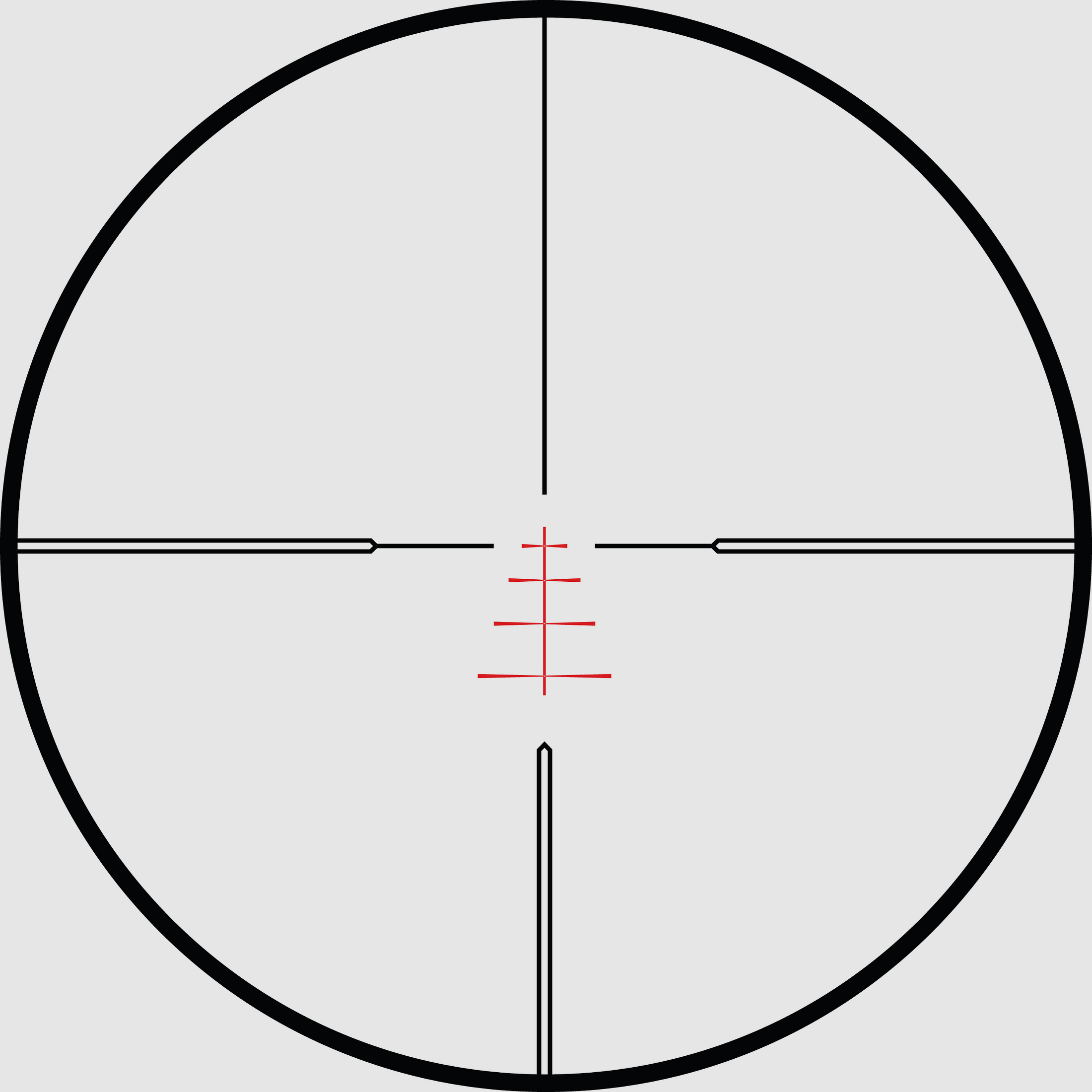 Endurance 30 WA 6–24x50 SF - Abs.LRC (24x),30 mm Mittelrohr