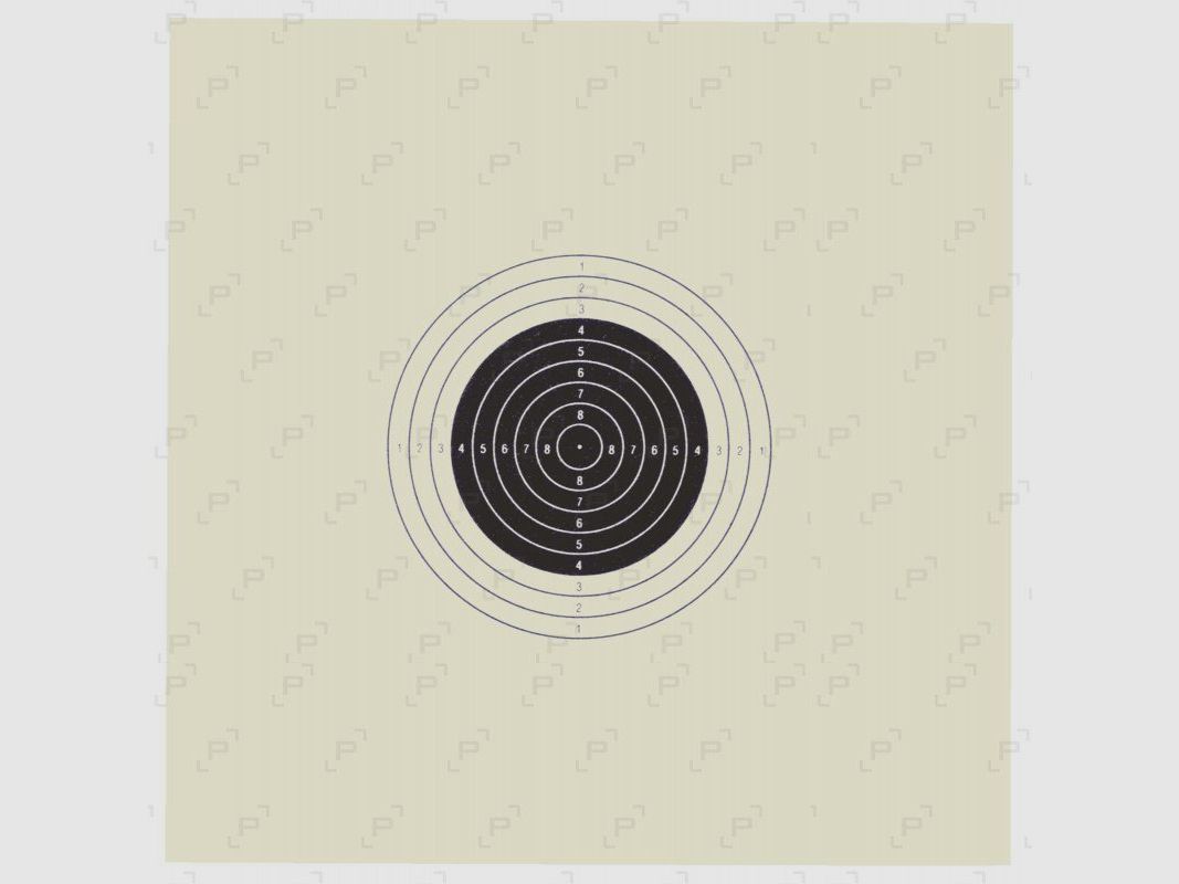 Papierscheibe COURT C17 ISSF 17×17 cm