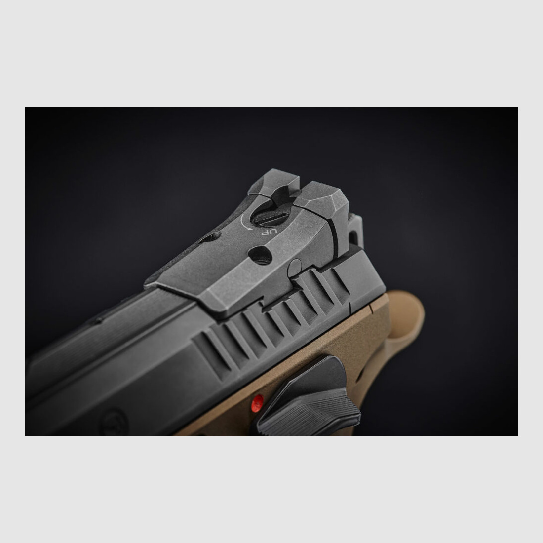 CZ Mod. CZ TS2 Deep Bronze