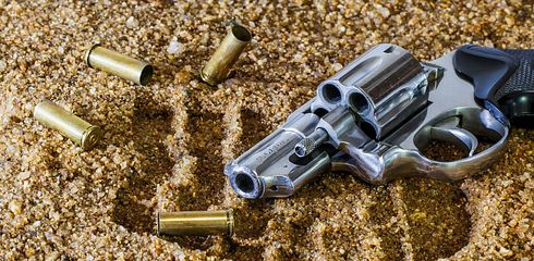 Gun Law Reform: Temporarily Stopped?