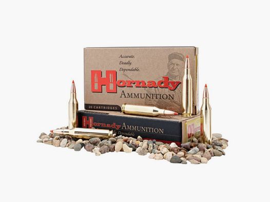 350 Legend Hornady CUSTOM™ 165 gr FTX® VE20