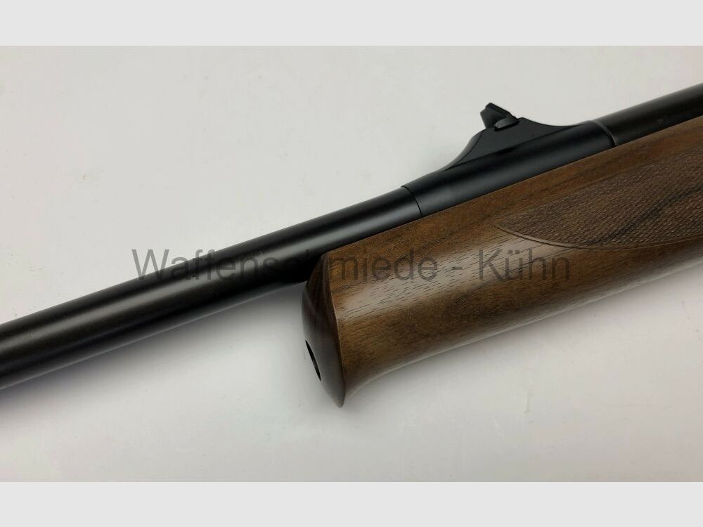 Sauer 303