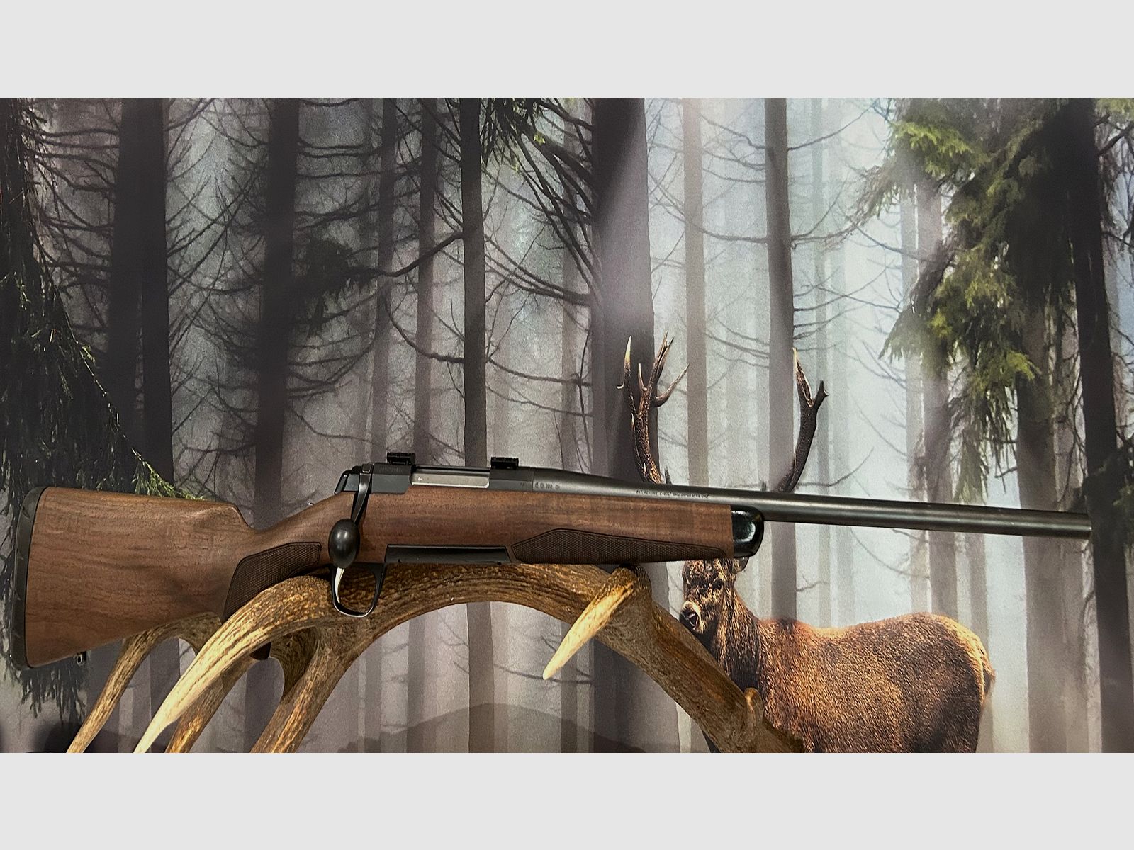 Browning X-Bolt .30-06 Printemps.