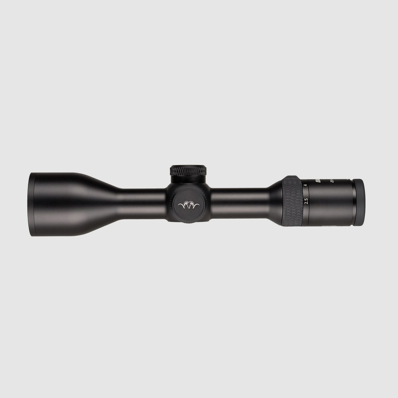 Blaser B2 2,5-15x56 iC S mit Schiene Illumination Control