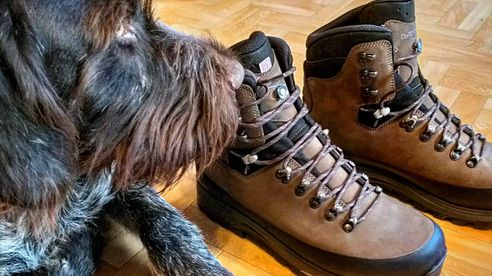 LOWA Tibet GTX - Zuverlässiger Begleiter im Revier