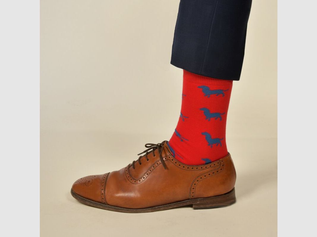 Krawattendackel Damen Socken rot, Dackel blau, Größe 36-40