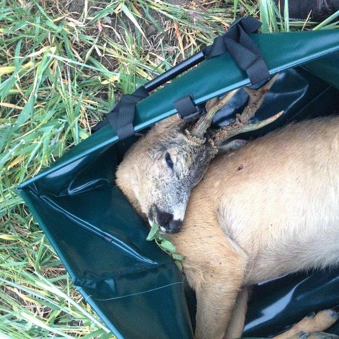 RWS HIT Maibock & Blaser Mobile Wildwanne