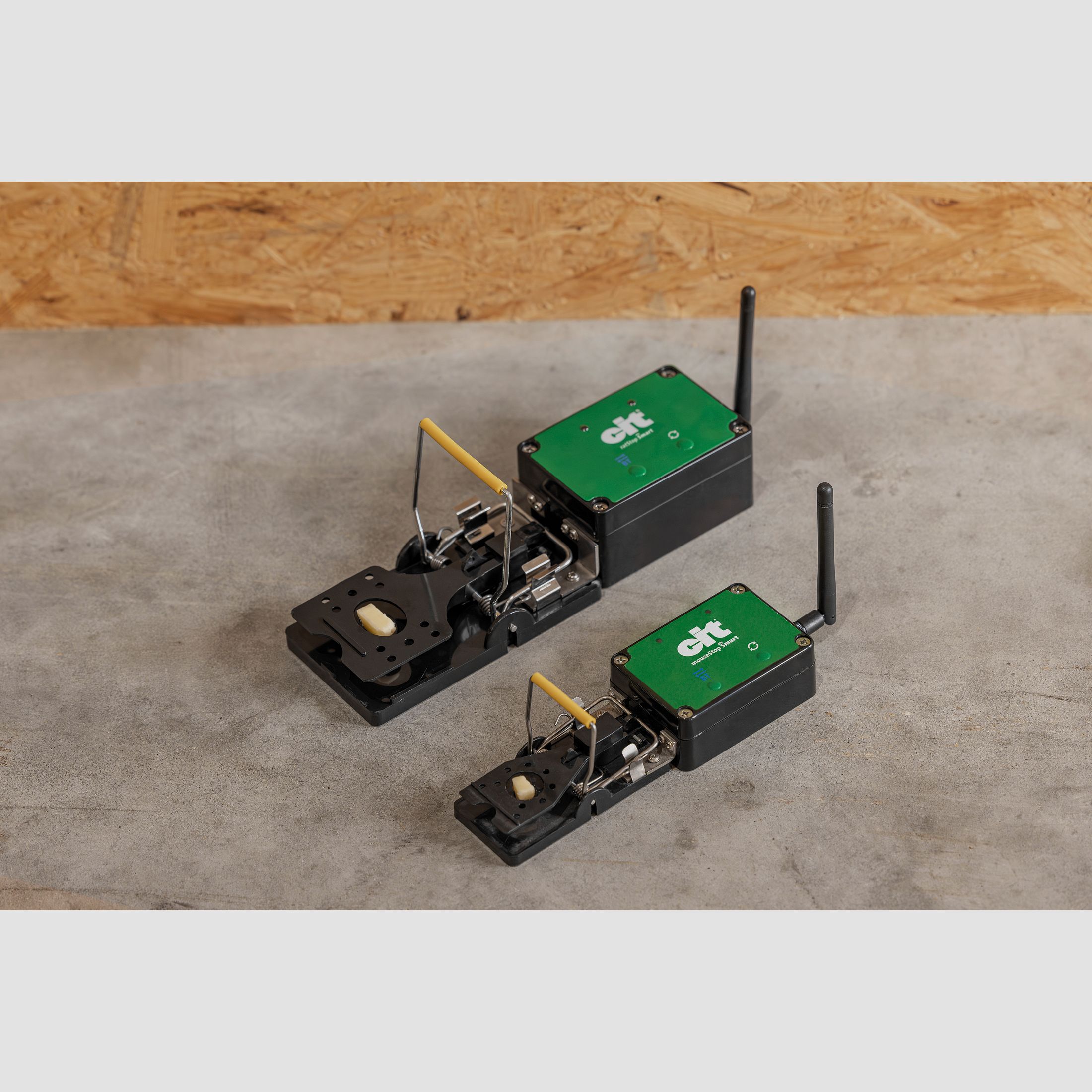 Trampa para ratones inteligente Wi-Fi