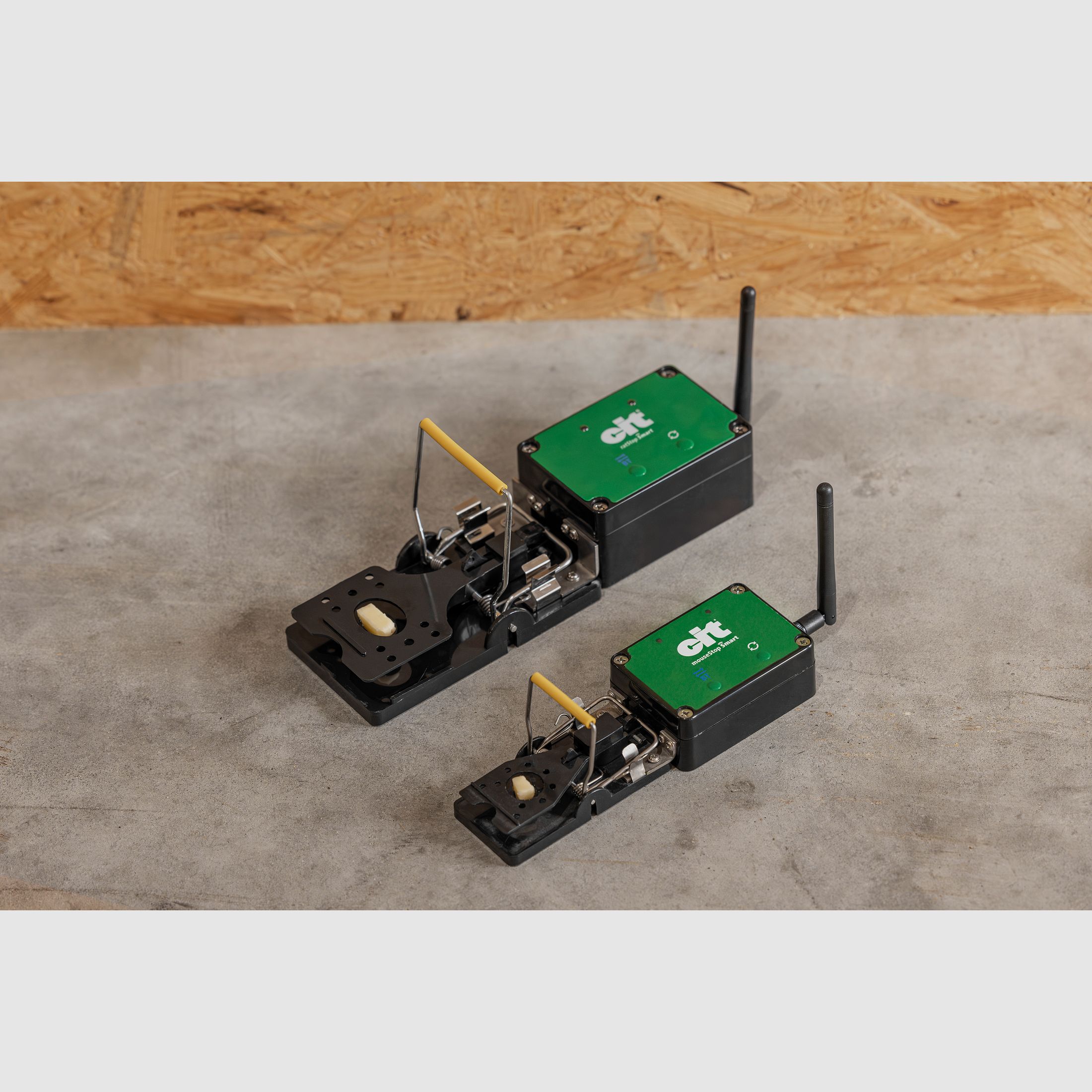 WLAN Mausfalle smart