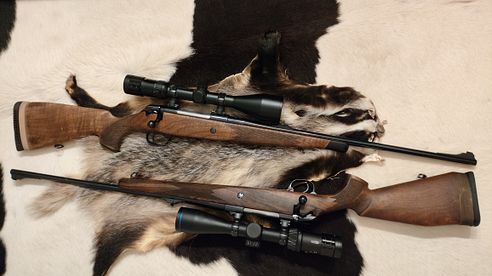 Auf dem alten Pferd lernt man reiten.  Mauser 225 Voere Titan II