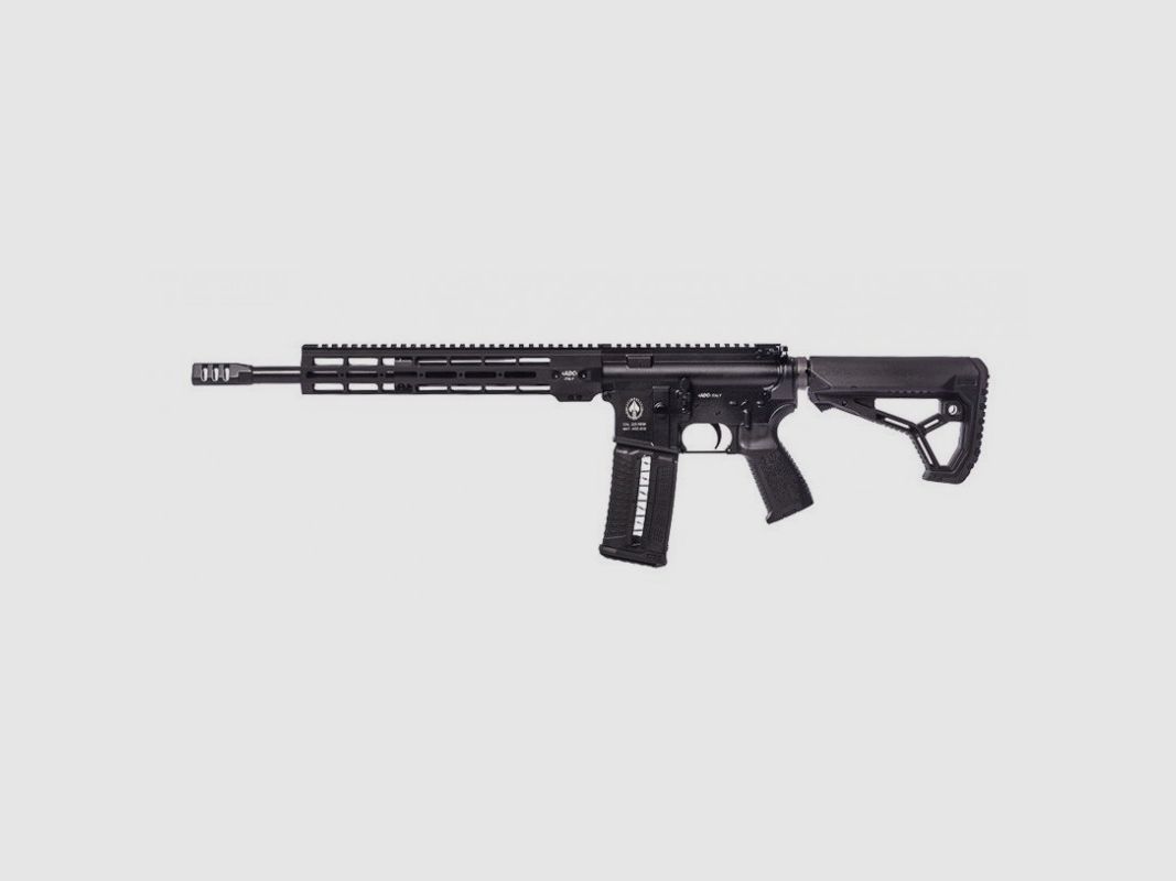 ARMI DALLERA CUSTOM M5 PLUS 300 Blackout, Bild 1 von 6